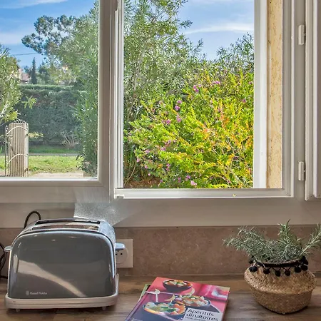 Maisonnette Yucca 2 à 4 Personnes Calvi (Corsica)